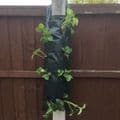 Long Hanging Flower Planters from £5.99